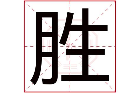 勝字五行|胜字五行属什么